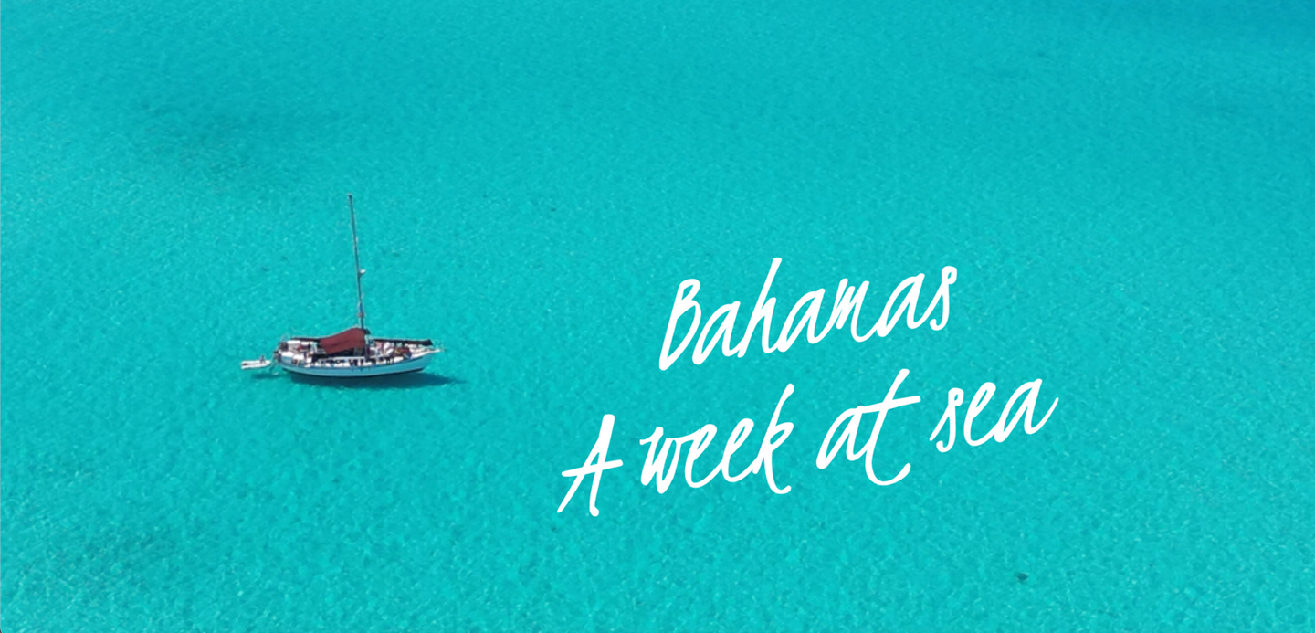 Bahamas Live Aboard