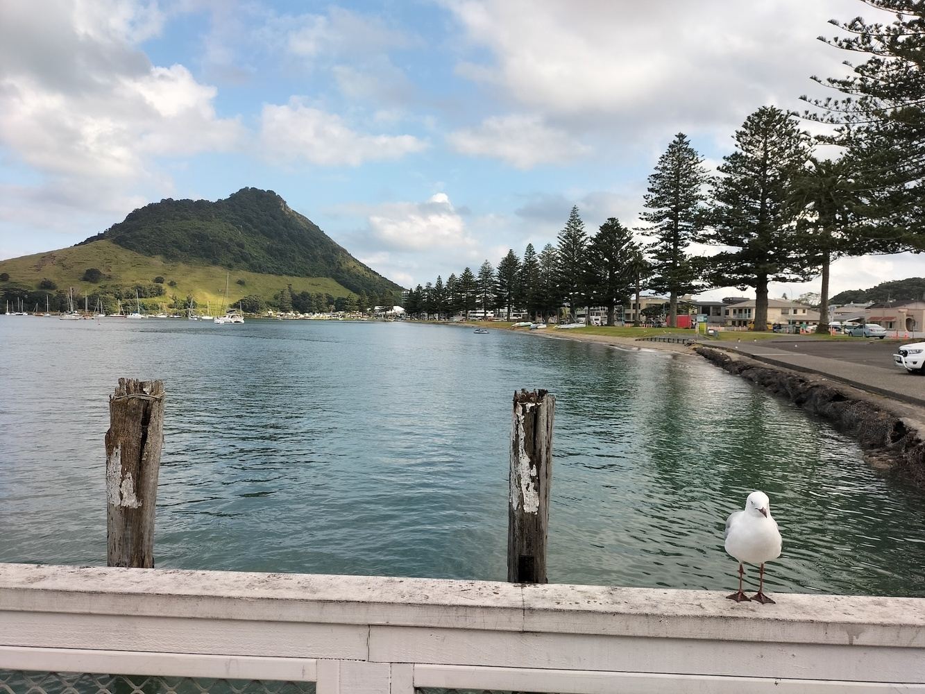 Tauranga Māori History & Culture Tour