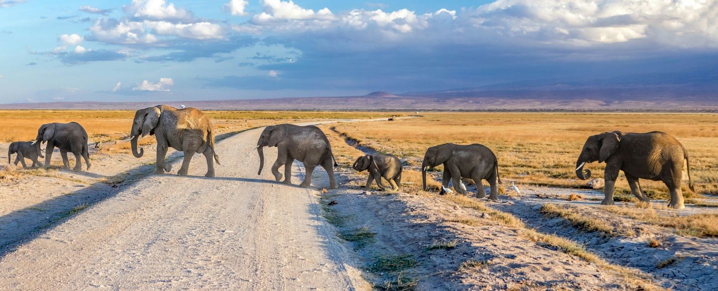 8-Day Kenya and Tanzania Wildebeest Migration