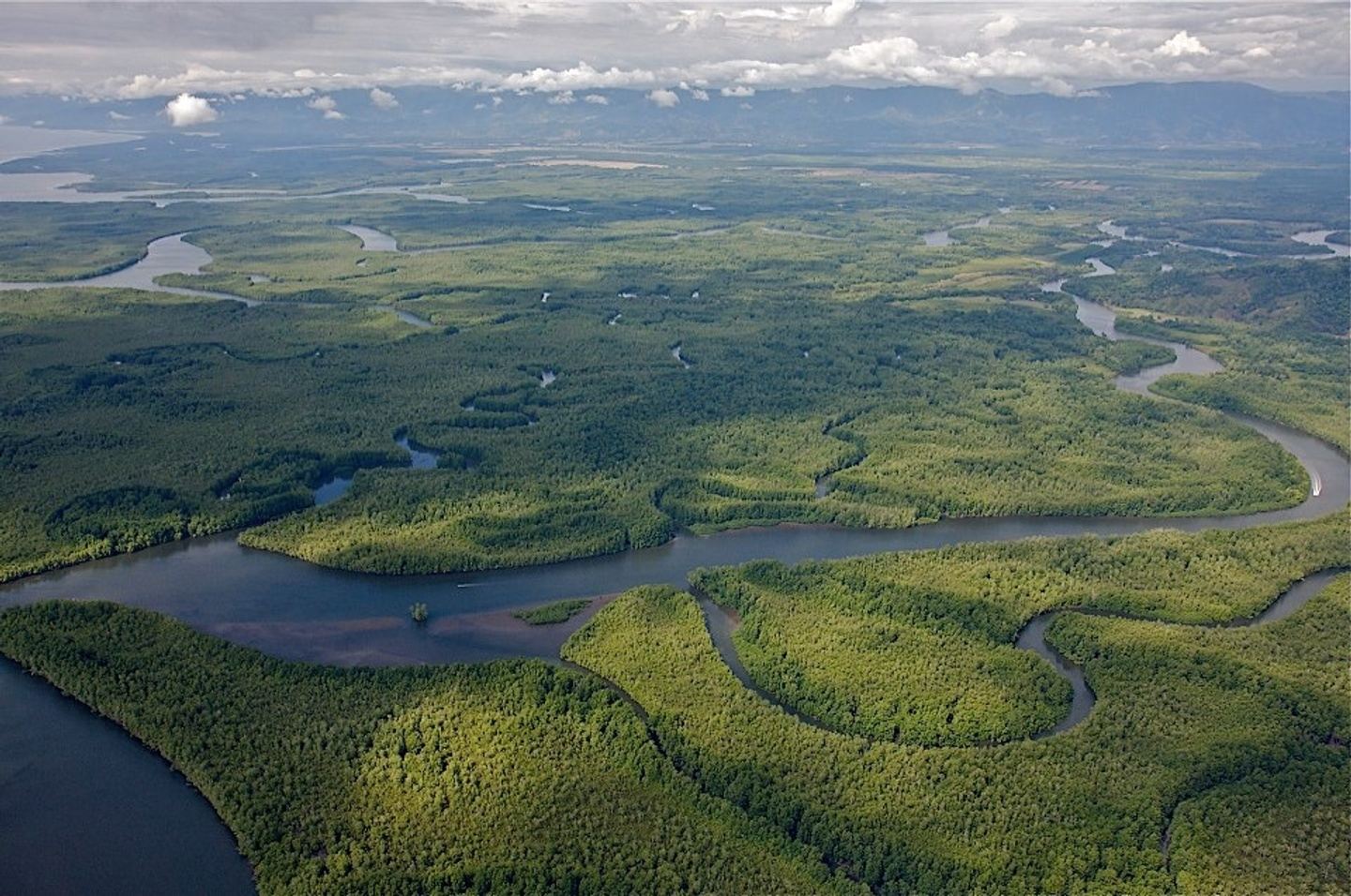 MANGROVE TOUR FROM SIERPE