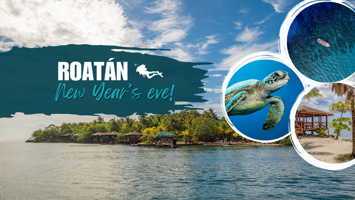 New Year's Scuba Trip, Roatan