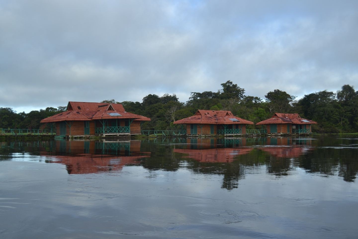 Pure Amazon in the Flood Season