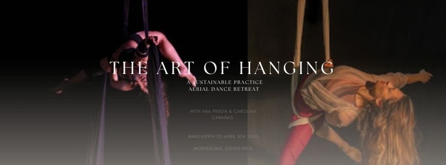 "The Art of Hanging" Aerial Dance Retreat