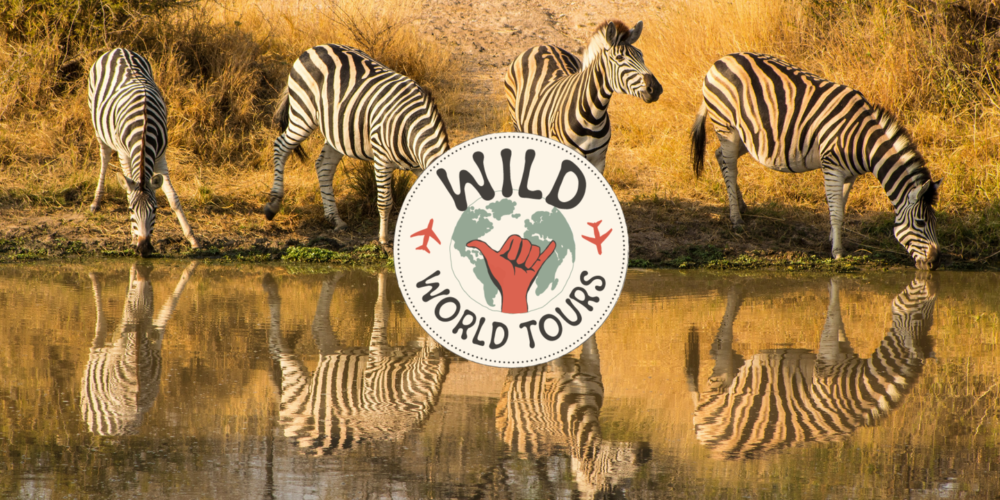 Private South Africa 7-Day Safari