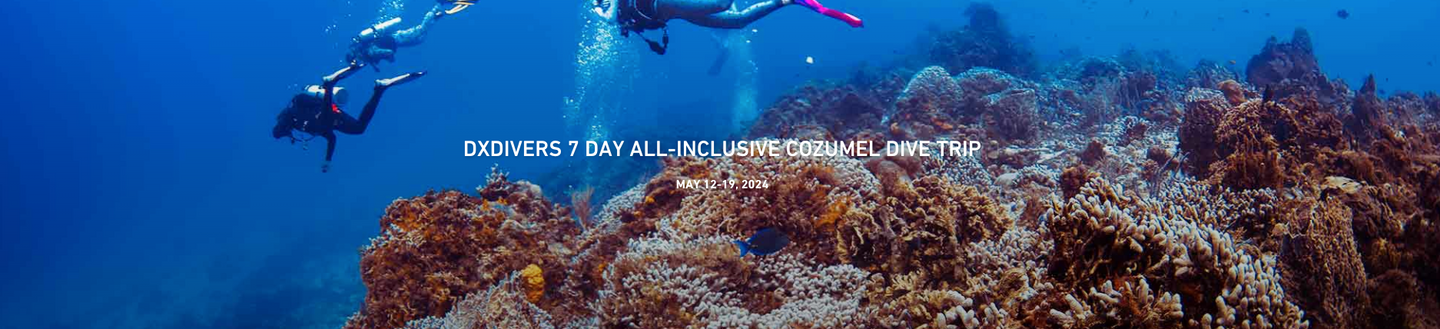 DX Divers 7 Day All-Inclusive Cozumel Dive Trip