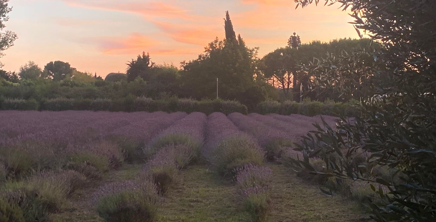 September 2027 - Provence