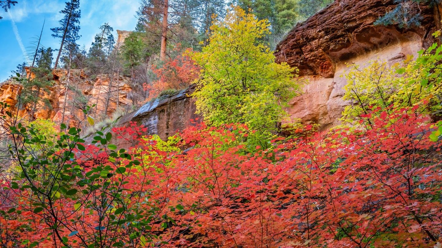 Sedona Fall Bhakti Retreat