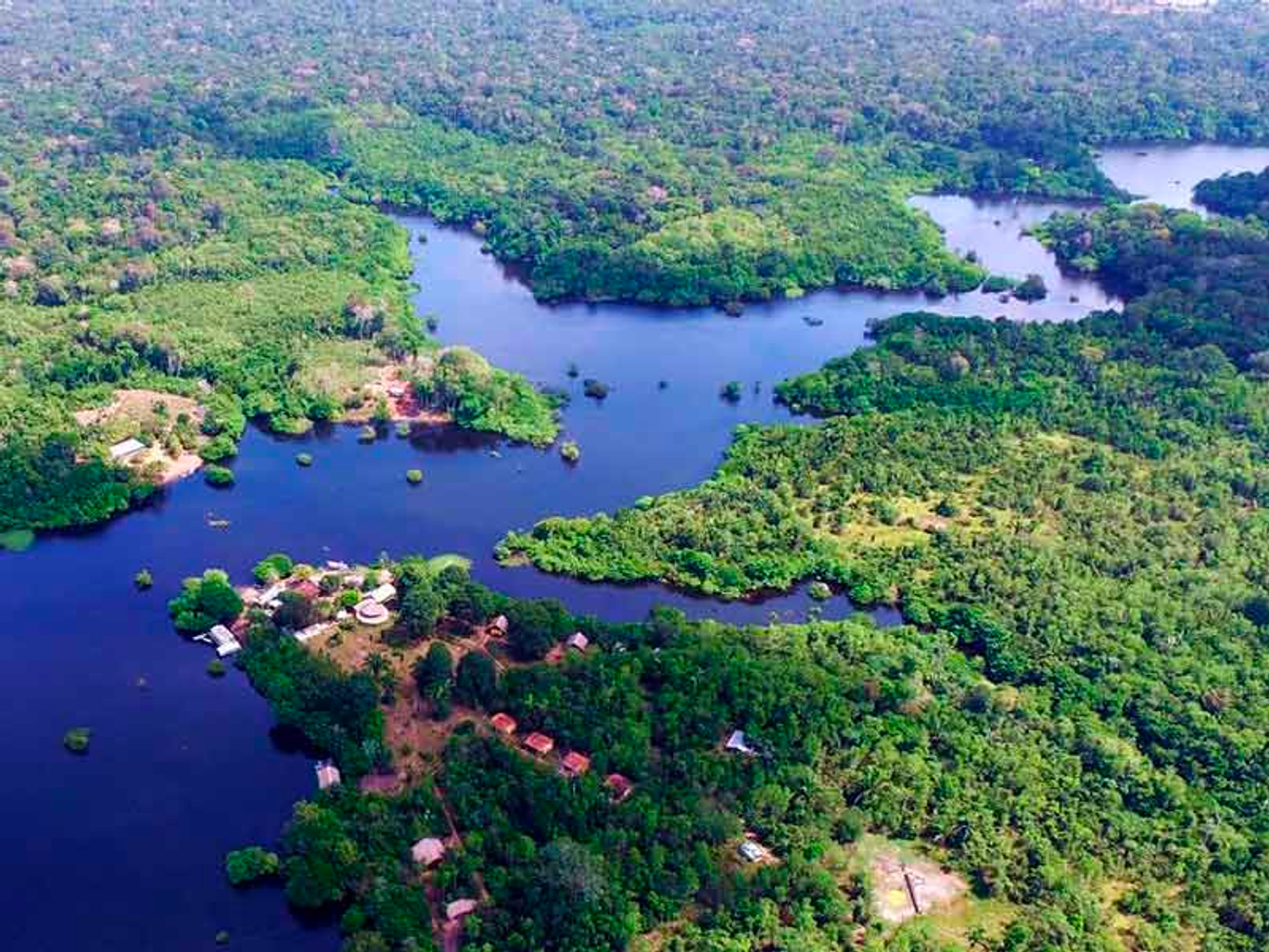 Amazon Rainforest Sustainable Experience