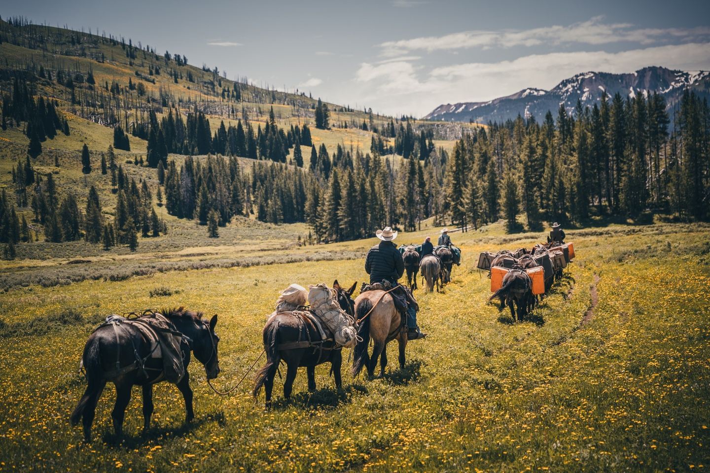 5-Day Teton Wilderness Horseback Pack Trip