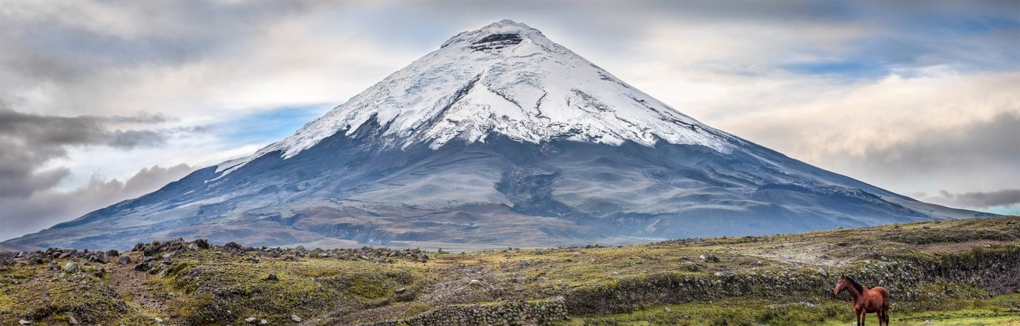Cotopaxi 1 Day Tour TWT 2024