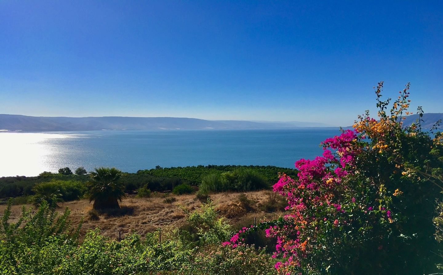 Walk with Jesus in Israel - Dave Brooks [23-10.3]