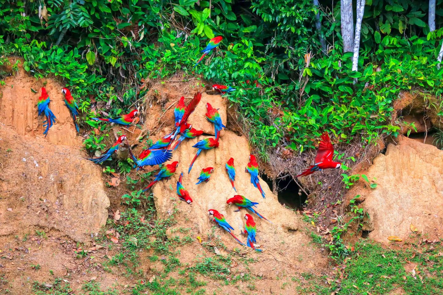 Wonderland-Experiences Peru 19 Days