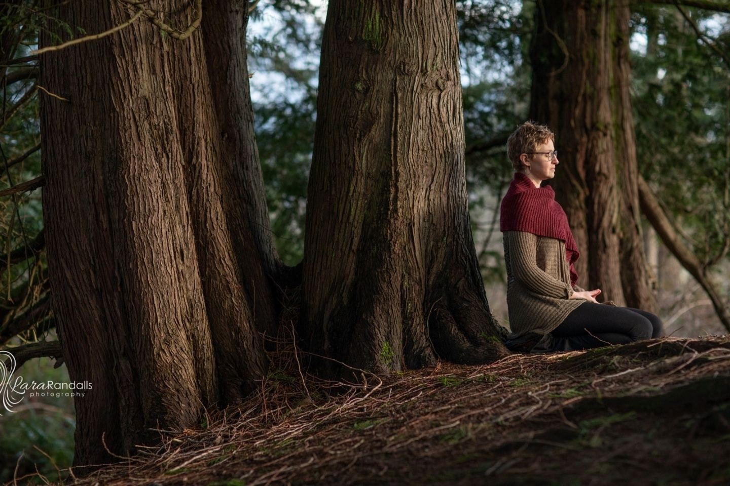 5-Day New Years' Silent Meditation Retreat