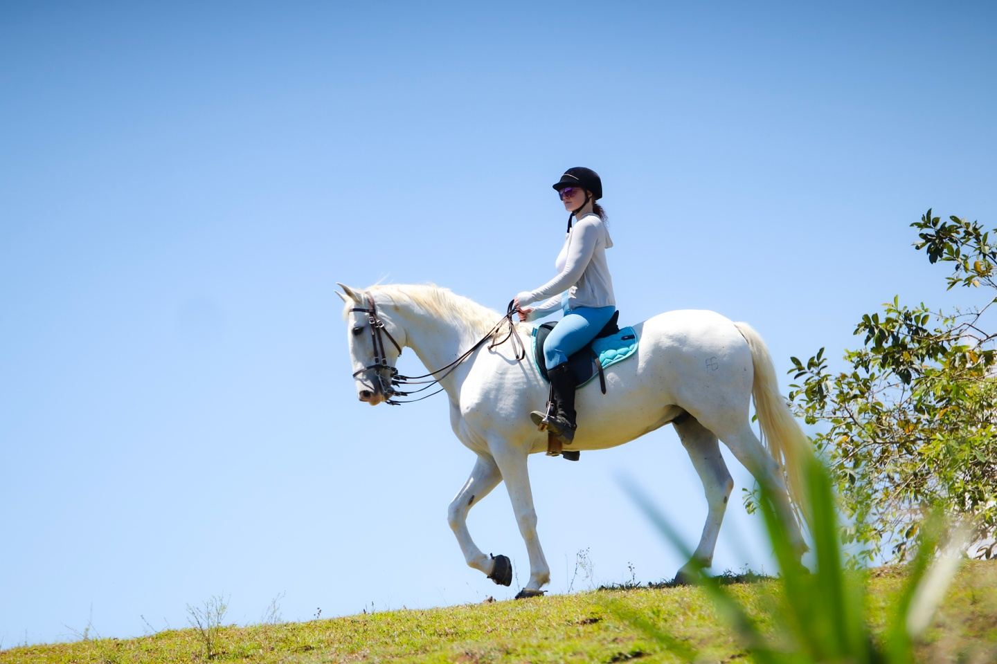 Classical Horsemanship & Yoga Retreat