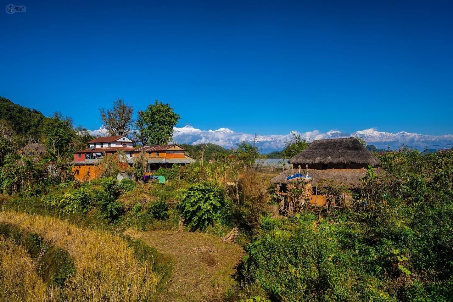 ANNAPURNA MIDHILLS HOMESTAY & CULTURAL TREK (MILLENNIUM TREK) 6N 7D