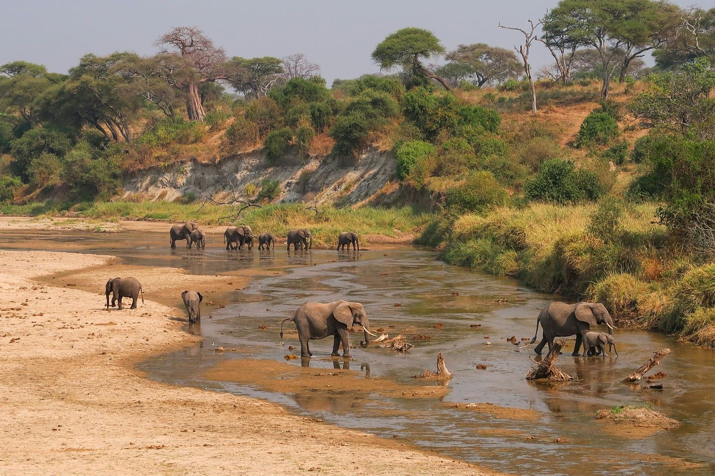 The Serengeti trail and Tarangire 6 Days Safari
