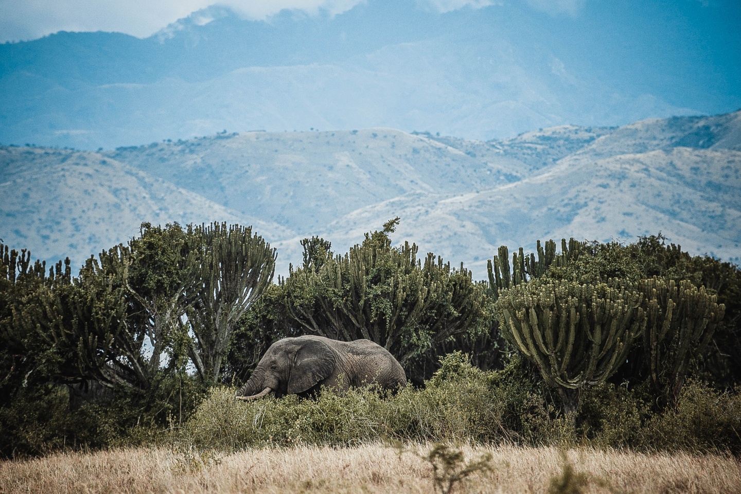 10 Days - Best Of The Pearl Of Africa