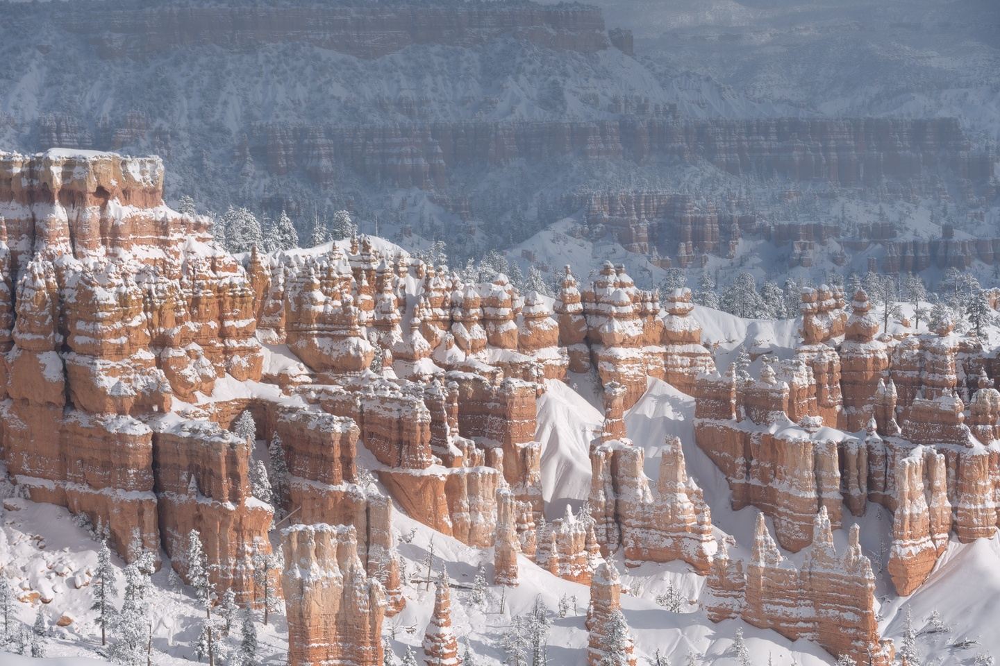 Bryce Canyon Winter Workshop