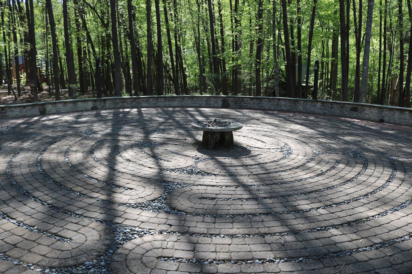 Turning Toward Trust: A One-Day Pilgrimage with God (Fall Season)