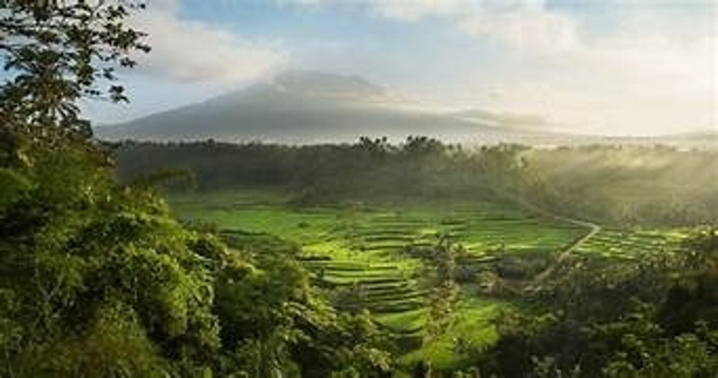 8 Day Bali: Awakening The Senses Yoga and Travel In Bali