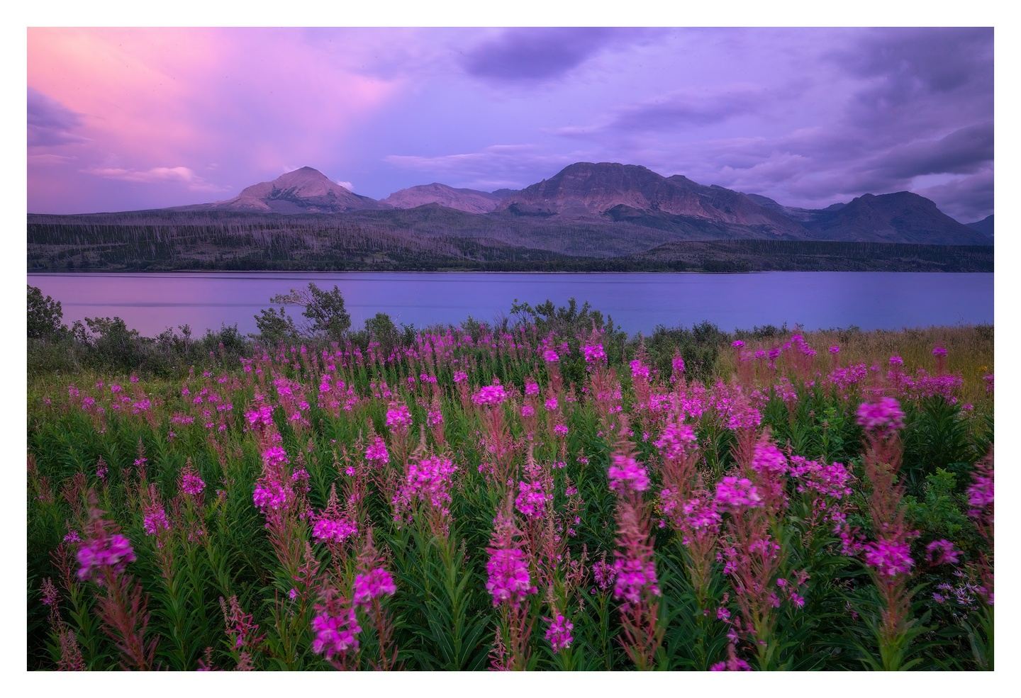 From Field to Final Image: The Art of Landscape Photography