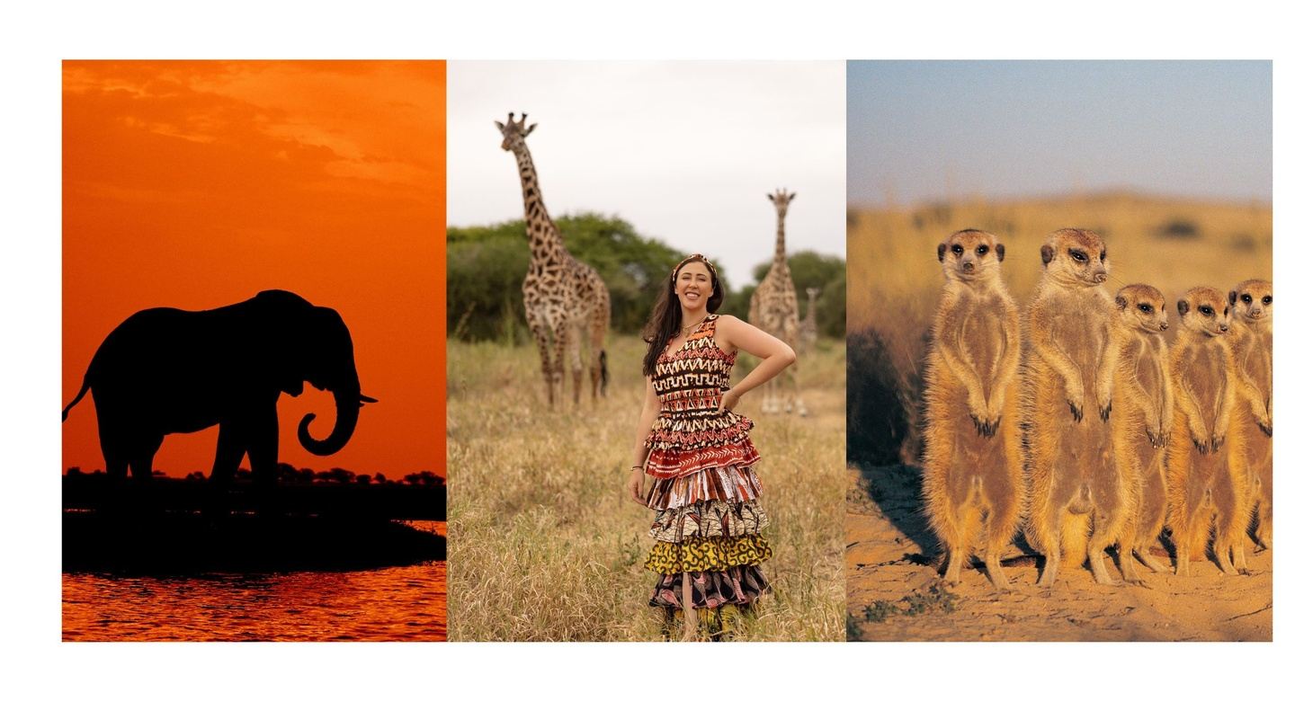 Botswana + Victoria Falls: 2 weeks in depth!