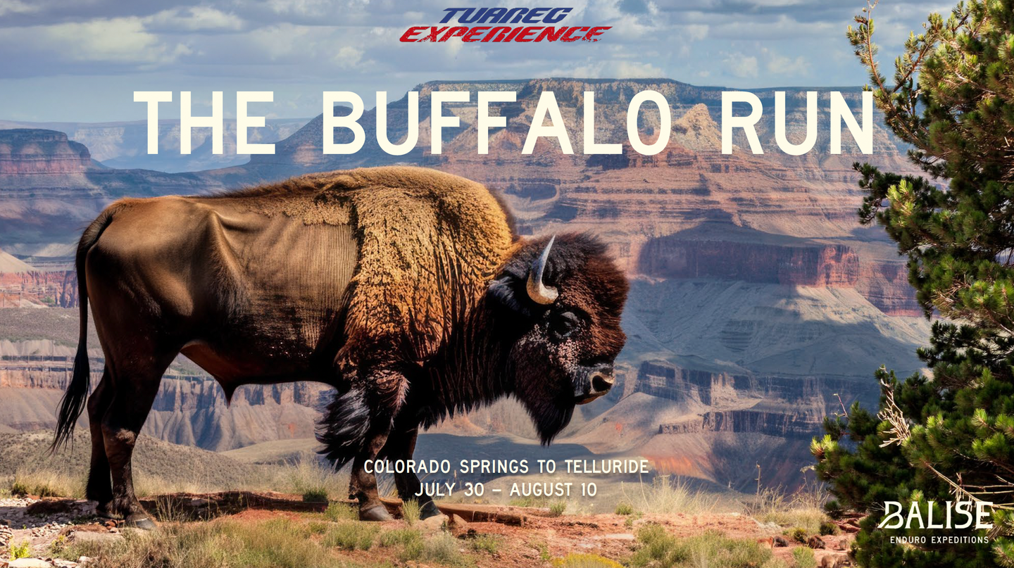 TUAREG EXPERIENCE: BUFFALO RUN