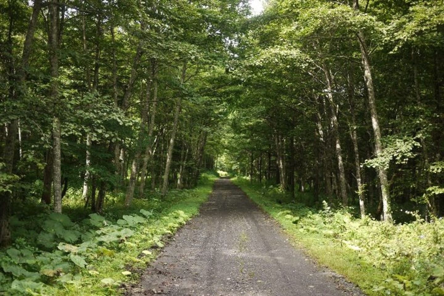 JAPAN - HOKKAIDO BIKEPACKING