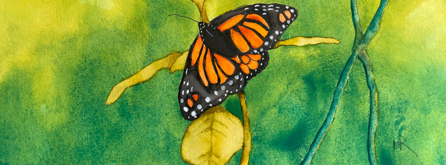 Bold Watercolors and Butterflies with Nancy Riedell