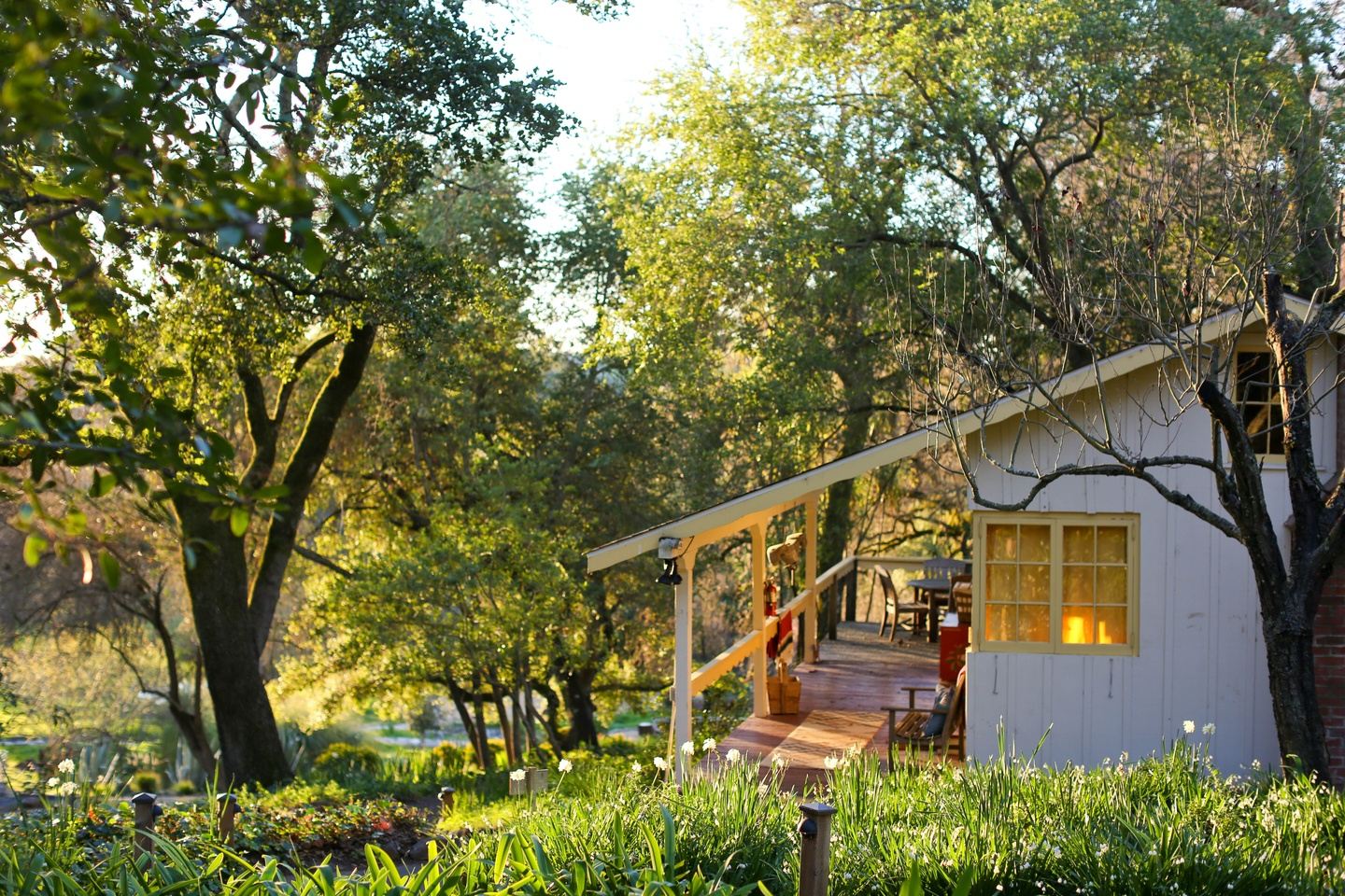 Spring in Harmony Sonoma Women's Retreat
