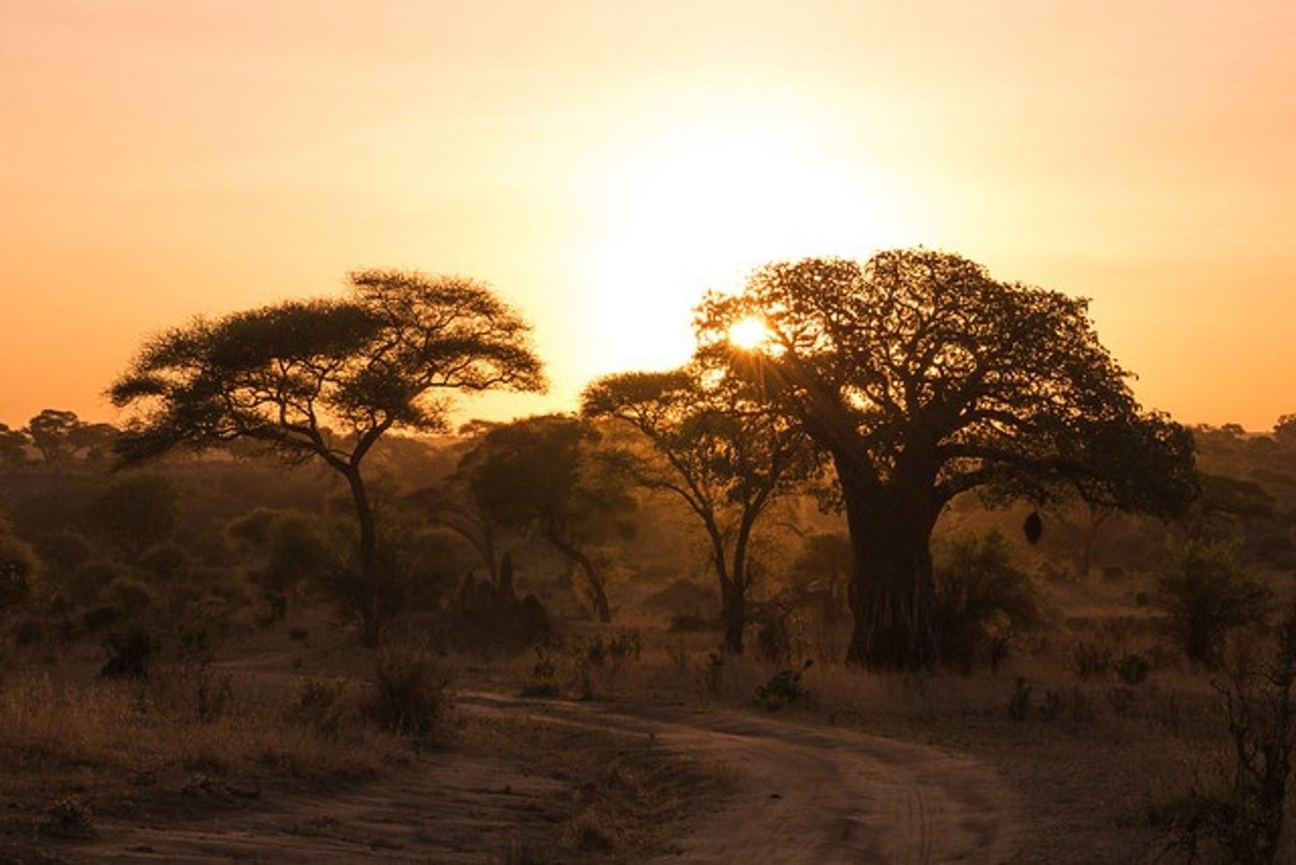 4 days Group joining Safari to Maasai Mara and Lake Nakuru National Pa