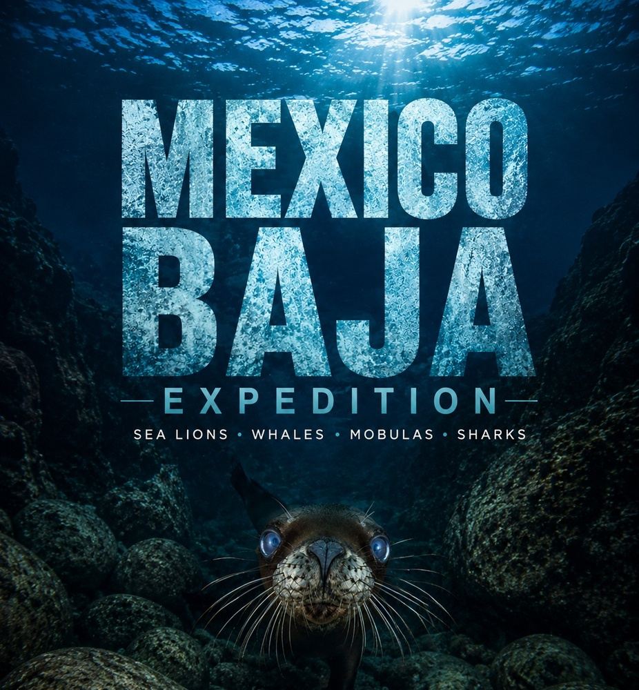 MEXICO 2026 - BAJA EXPEDITION LA PAZ/MAGBAY
