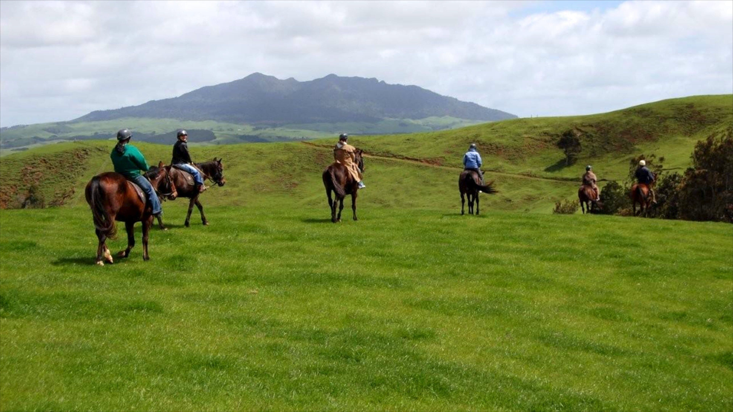 Raglan Horse Riding