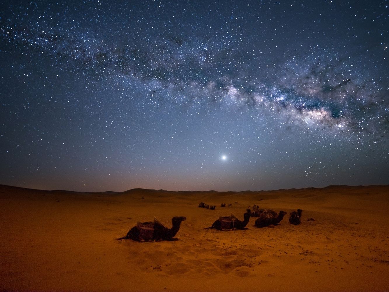 THE SAHARA RESET: 7 Days to Silence the Noise.
