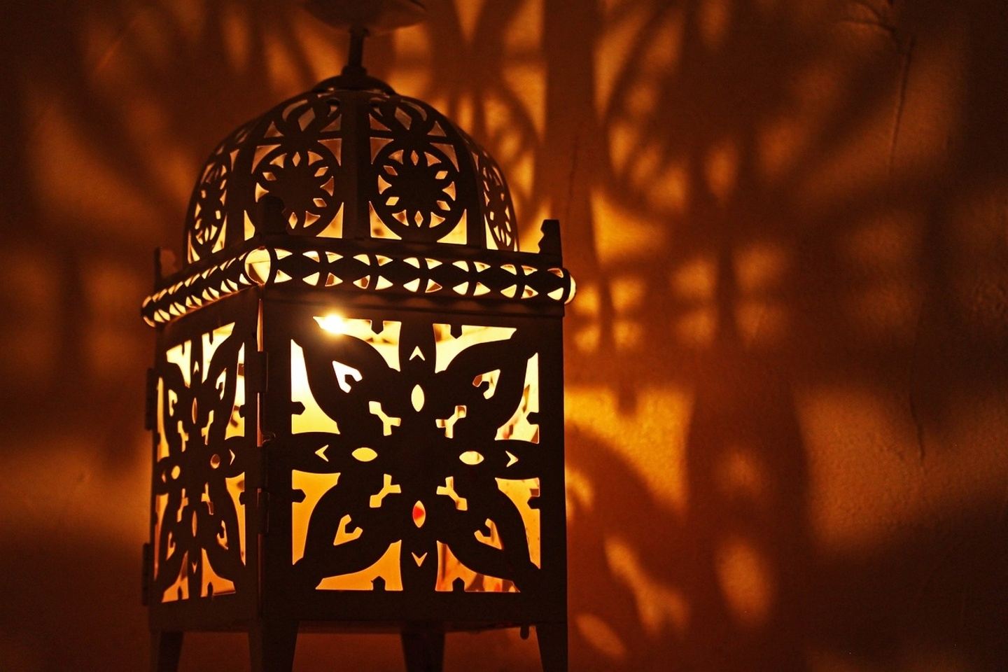 Discover the land of a thousand and one nights