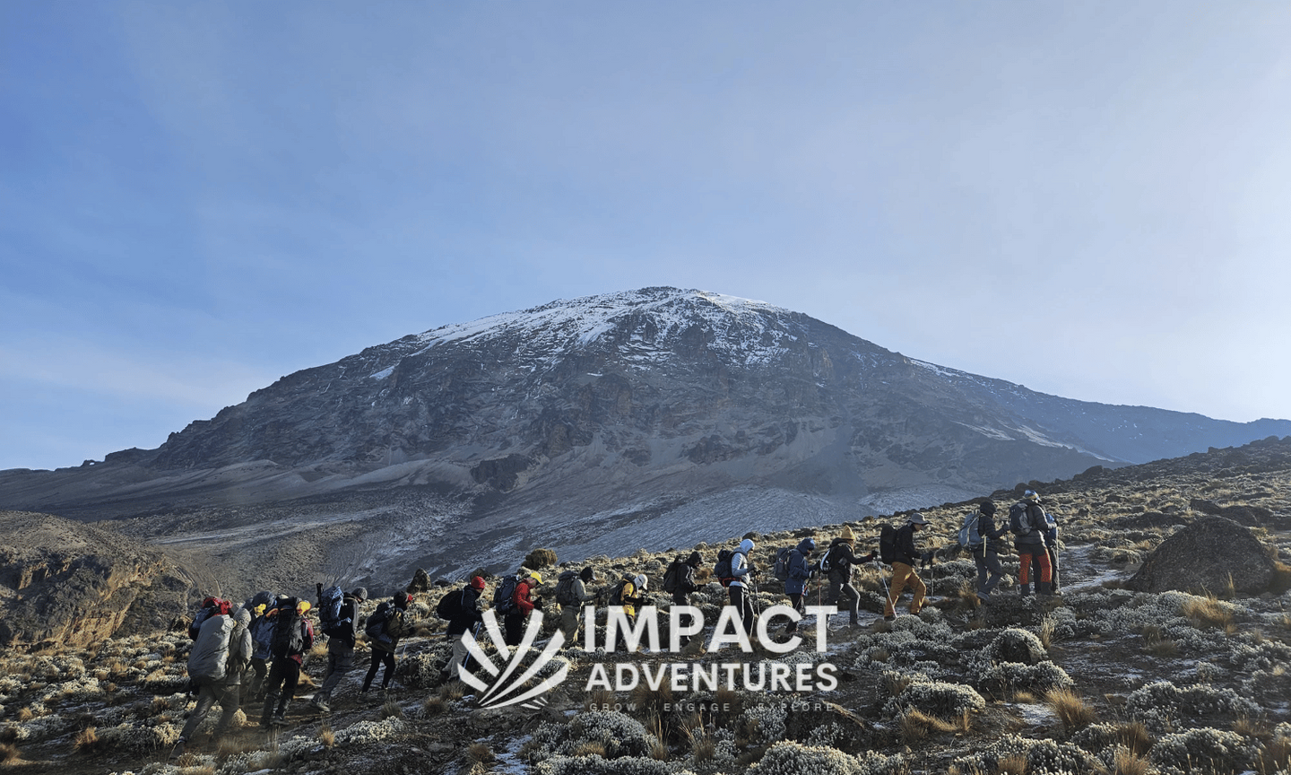 Summit Kilimanjaro - Open Group Dates 2025