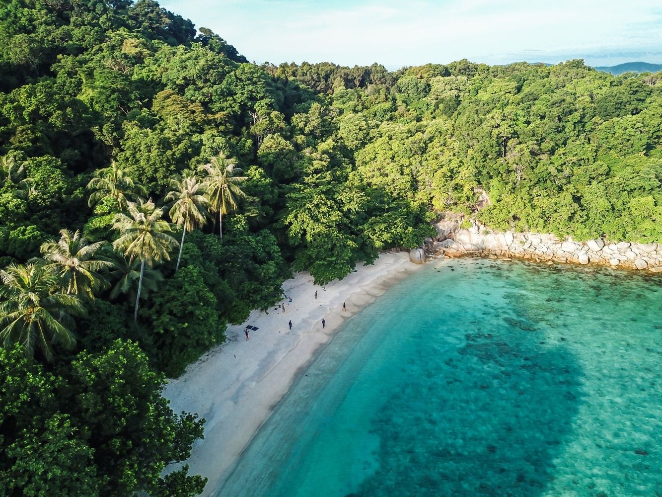 Tropical Marine Conservation Camp Internship