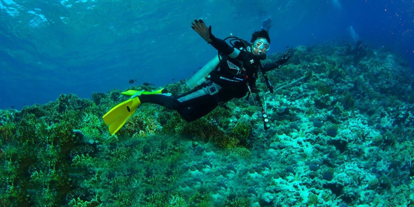Diving tour to Gordons rocks from santa cruz