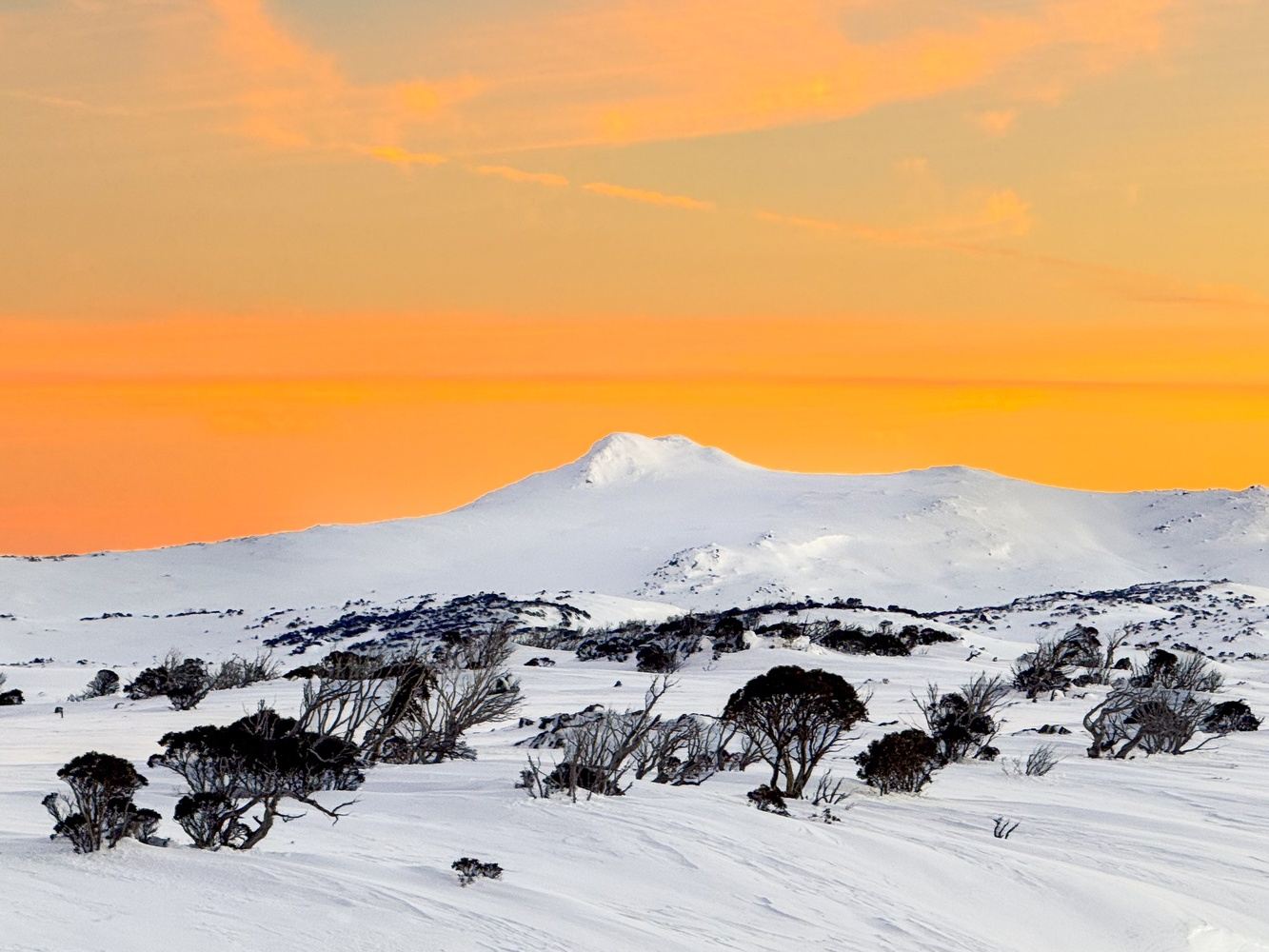 Mt Jagungal Snow Camping Expedition