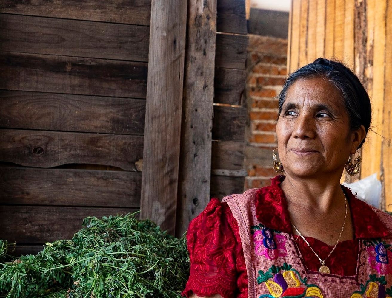 Traditional Medicine & Temazcal Experience with women entrepreneurs