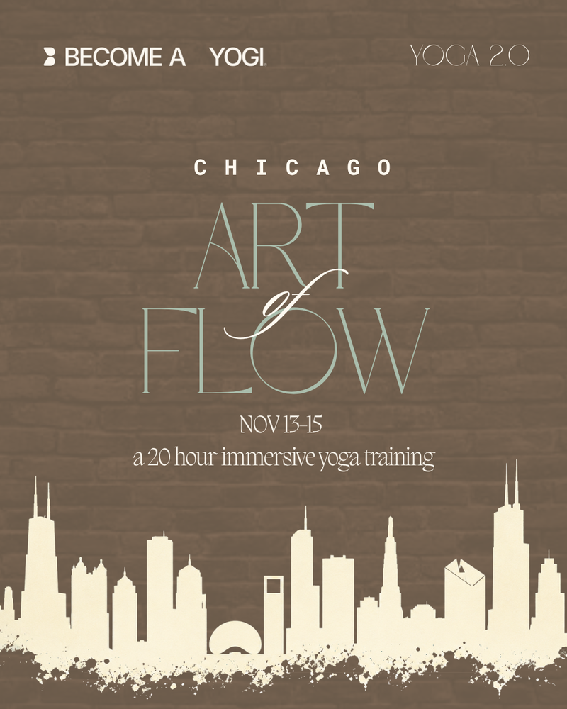 20H Art of Flow Chicago