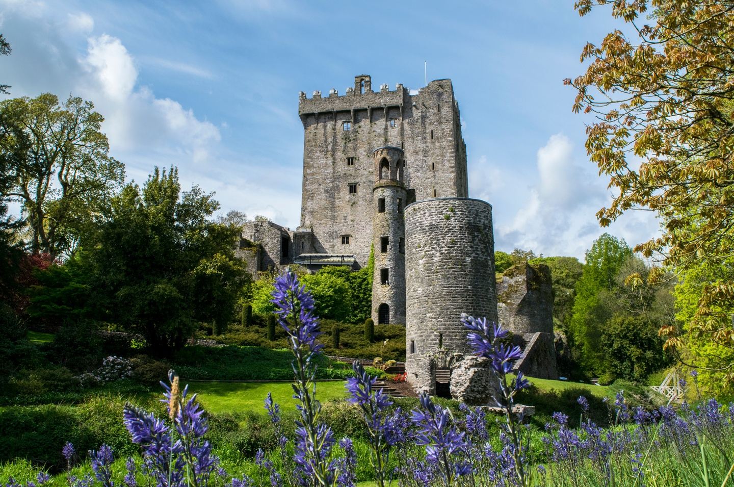 Cork Highlights Private Tour/ Cruise Ship Excursion
