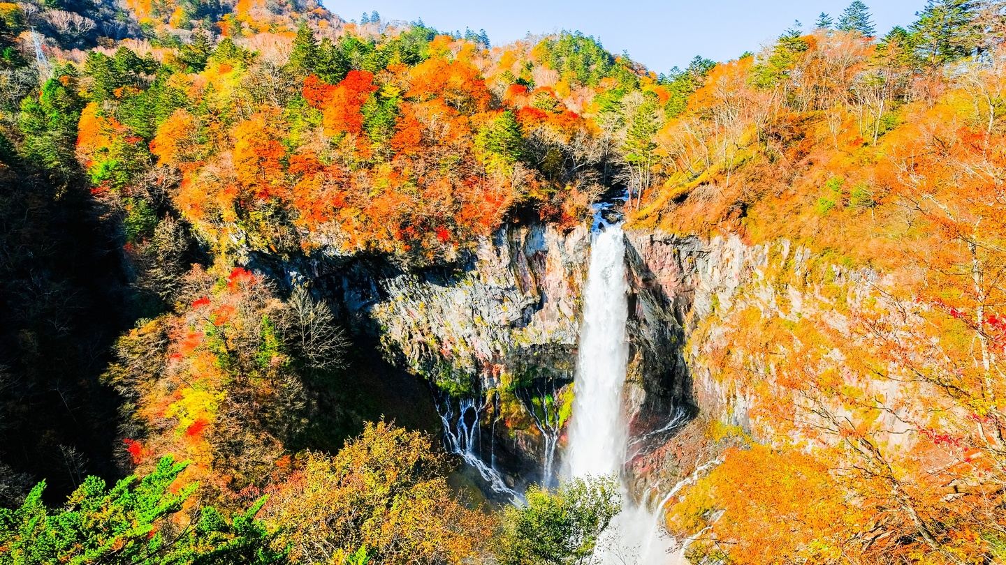 Autumn Elegance: Japan’s Fall Foliage & Cultural Self-Guided Tour