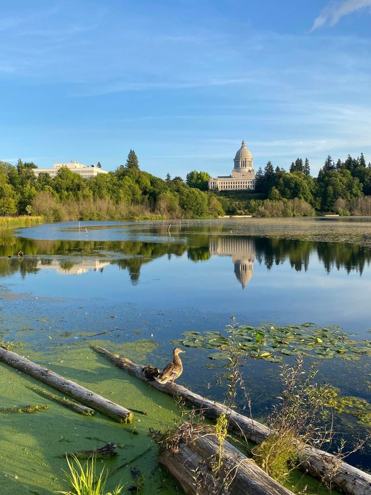Ancient Olympia with Honey Farm