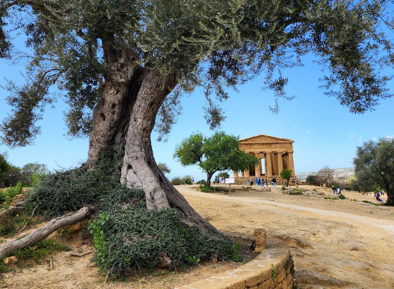 Flavors of Sicily