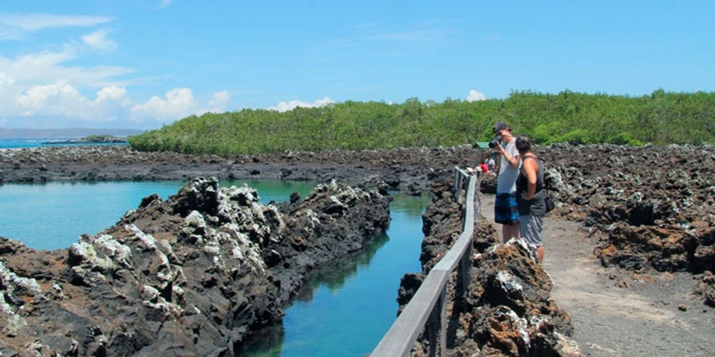 TOUR TINTORERAS - ISLOTE TINTORERAS - ISLA ISABELA
