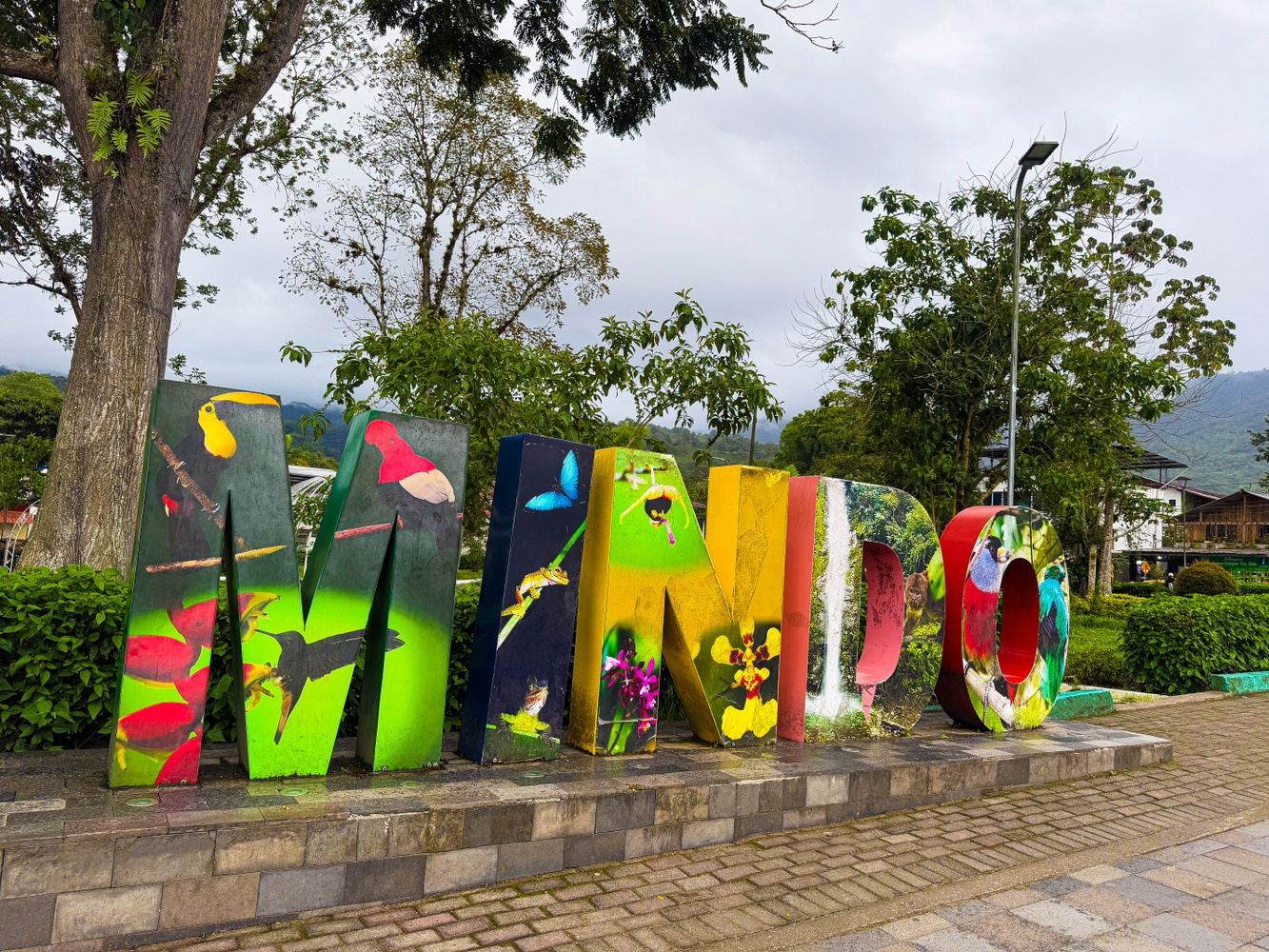 Mindo Cloud Forest Day trip