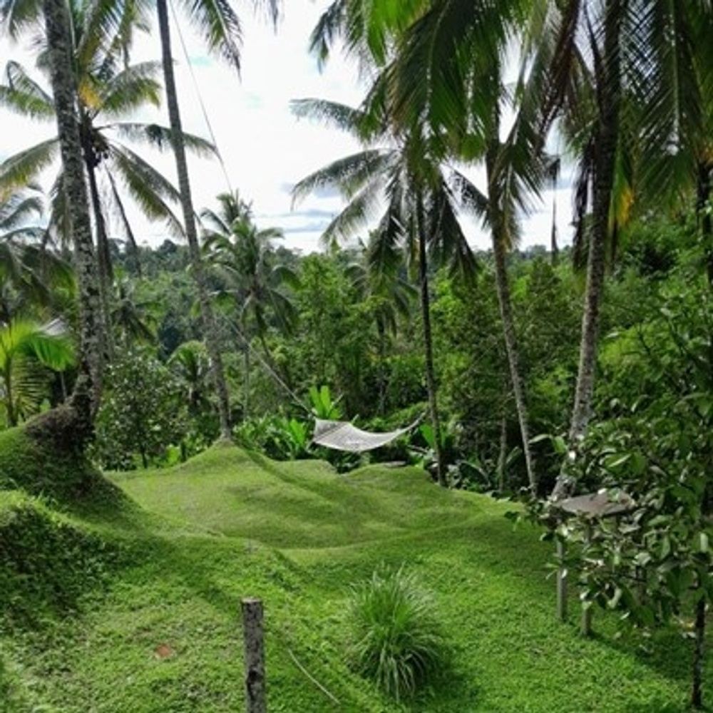 3 Day Guided Spiritual Culture Yoga & Meditation Retreat Bali (copy)