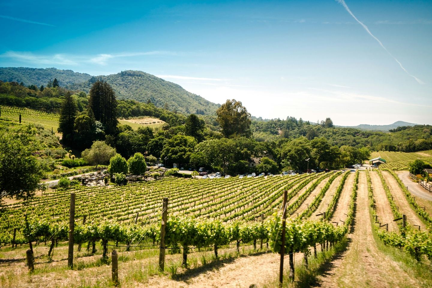 Friuli & Slovenia Cycling August 2026