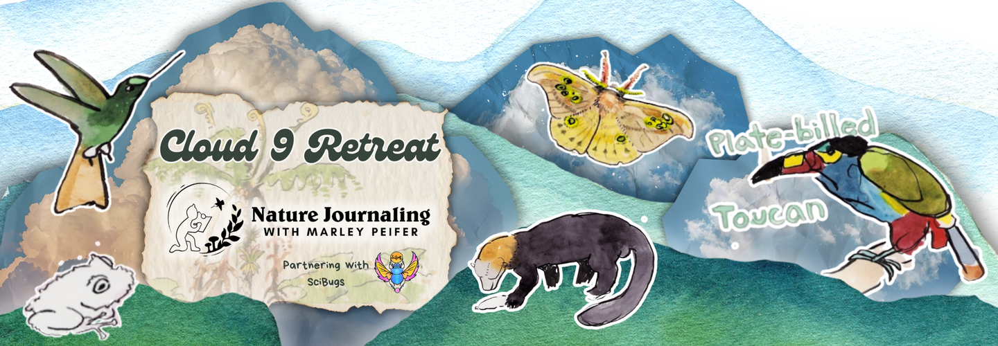 Cloud 9 Retreat: Journaling in Ecuador's Cloud Forest